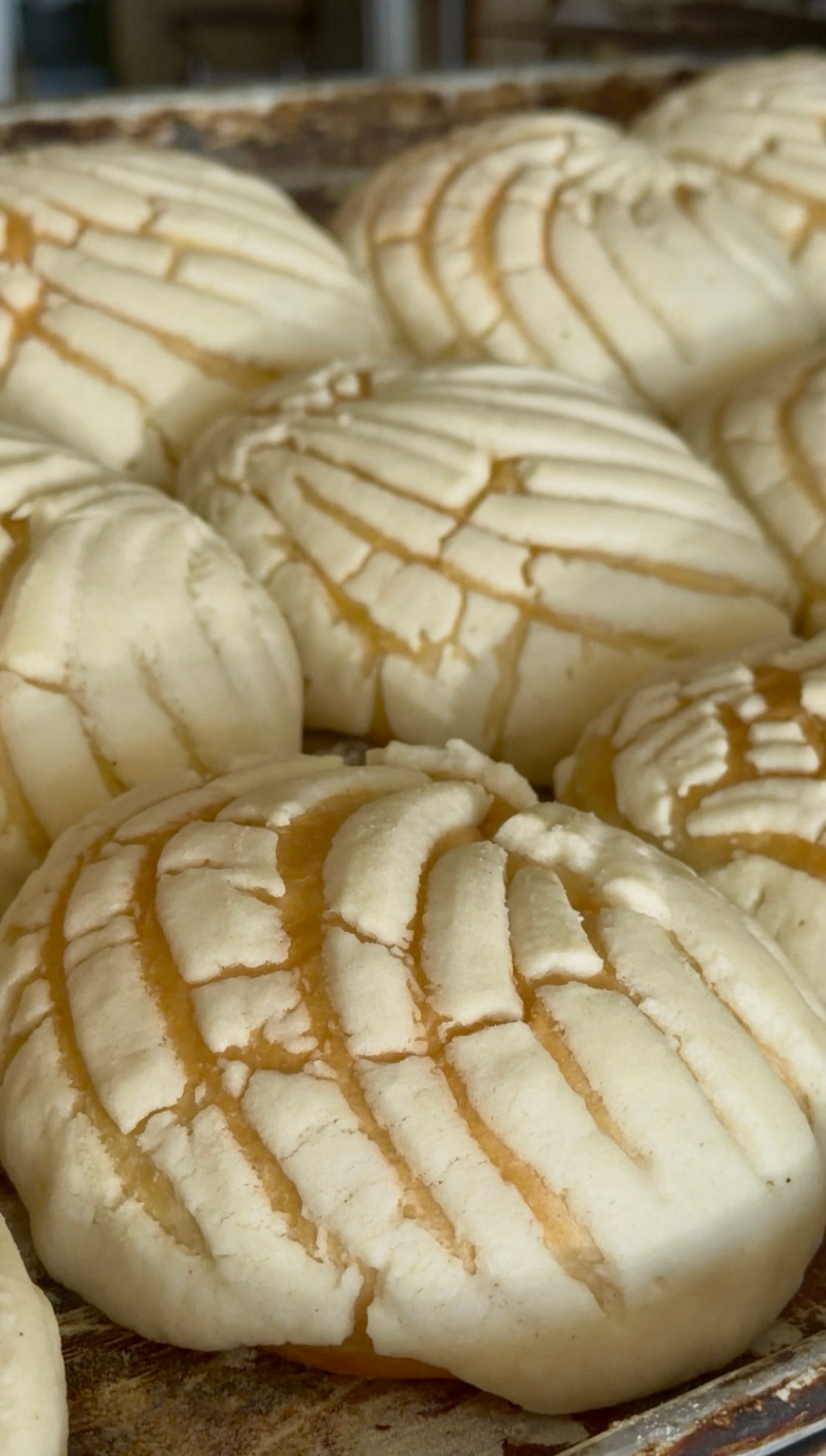 More Than Conchas